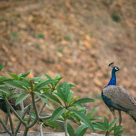 Open House By Stayvista - Nestled In Nature, Featuring A Swimming Pool & Expansive Lawn For A Serene Retreat Shikrapur 외부 사진